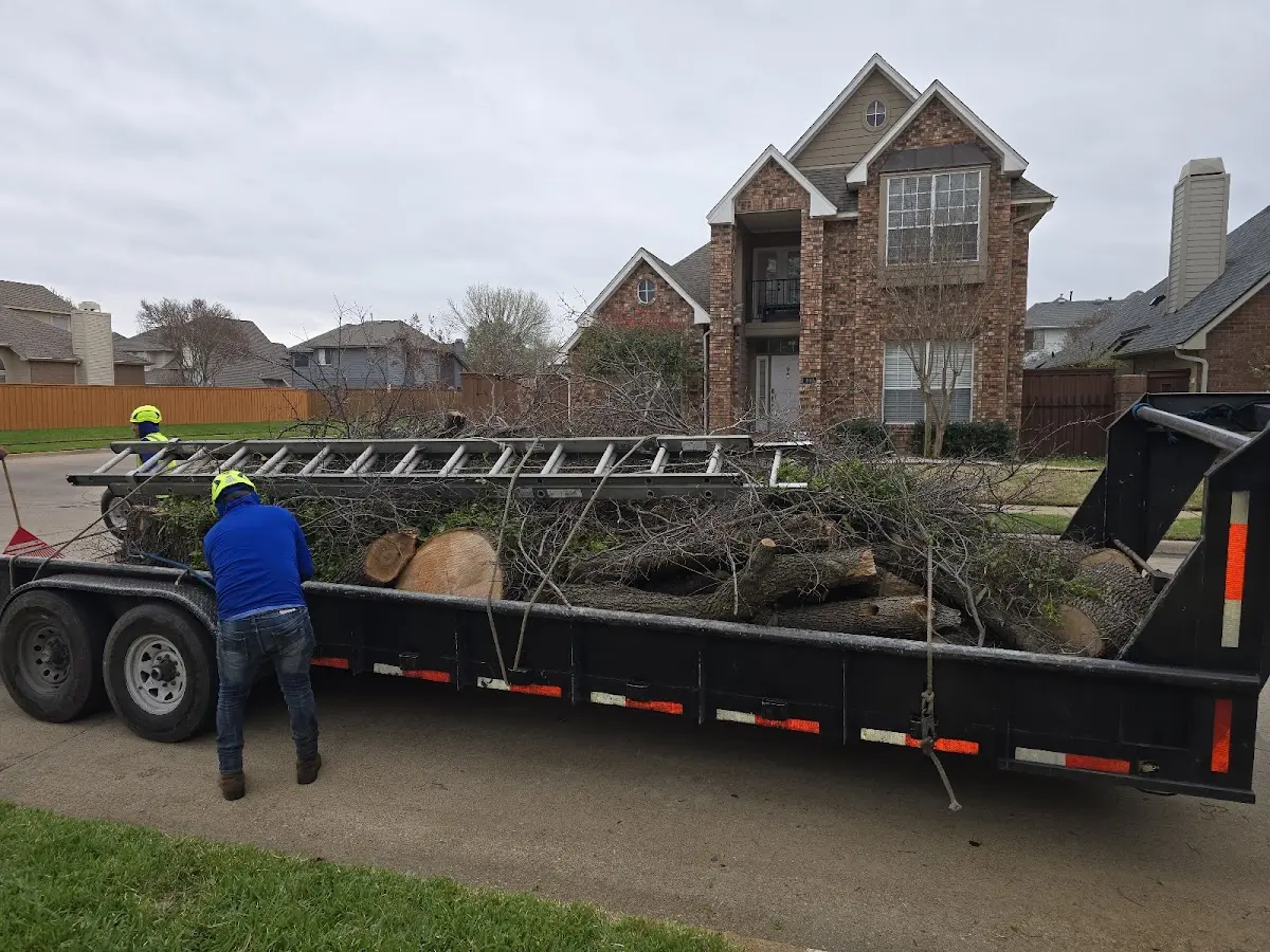 Expert Crown Reduction with proper safety equipment in Park Forest